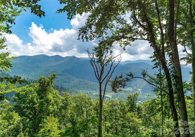 image of 36 Cary Ln, Asheville, NC 28804 | MLS# 4406712