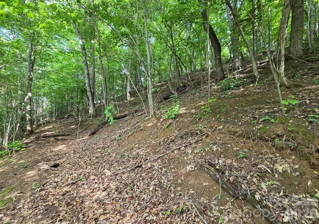 1st image of Tbd Grandview Cliff Hts, Waynesville, NC 28751 | MLS# 4406798