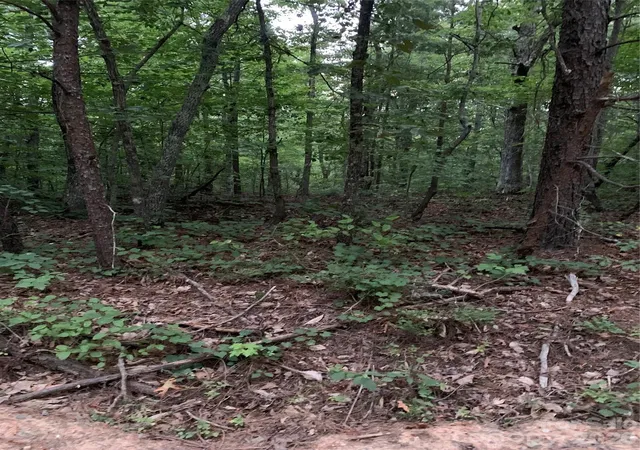 Photo 2 of Sale Pending at 0 Ore Bank Rd, Smyrna, SC 29743 | MLS# 4406824 | Listing updated on 2026-08-26