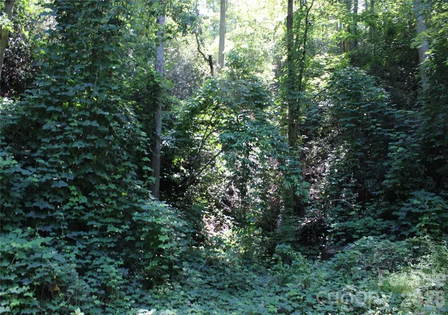 Photo 3 of Land for sale at 00 Sparrows Way, Lake Lure, NC 28746 | MLS# 4406854 | Listing updated on 2026-07-22