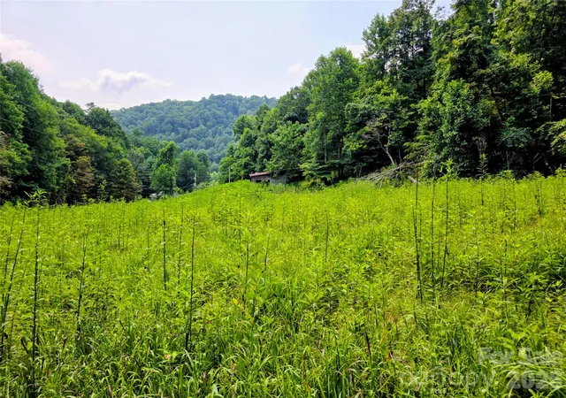 Photo 1 of Single family home for sale at 98 Will Wilson Rd, Burnsville, NC 28714 | MLS# 4406870 | Listing updated on 2026-08-03