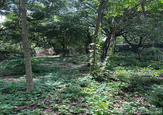 Photo 3 of Land for sale at 499 Leonard Rd, Lexington, NC 27295 | MLS# 4406924 | Listing updated on 2026-10-12