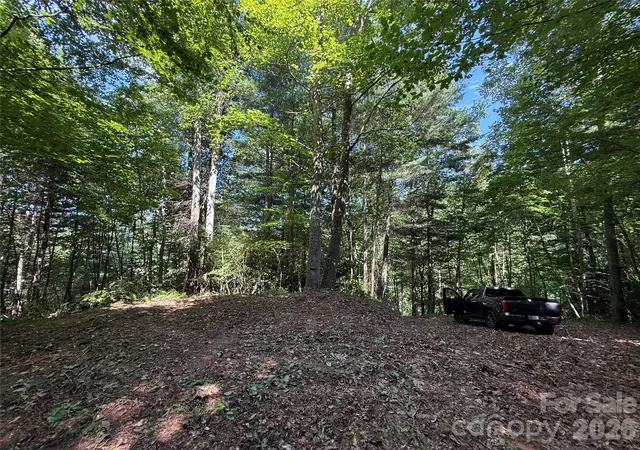 2nd image of 99999 Walking Horse Trl, Candler, NC 28715 | MLS# 4406938