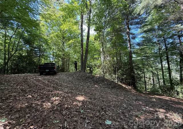 3rd image of 99999 Walking Horse Trl, Candler, NC 28715 | MLS# 4406938