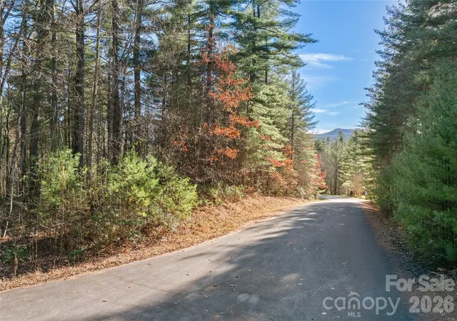 2nd image of 0 Daylily Dr #Lot 20, Hendersonville, NC 28739 | MLS# 4406939