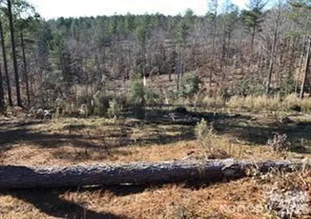 Photo 1 of Land for sale at 2072 Snowmass Dr #36, Connelly Springs, NC 28612 | MLS# 4406950 | Listing updated on 2026-07-24