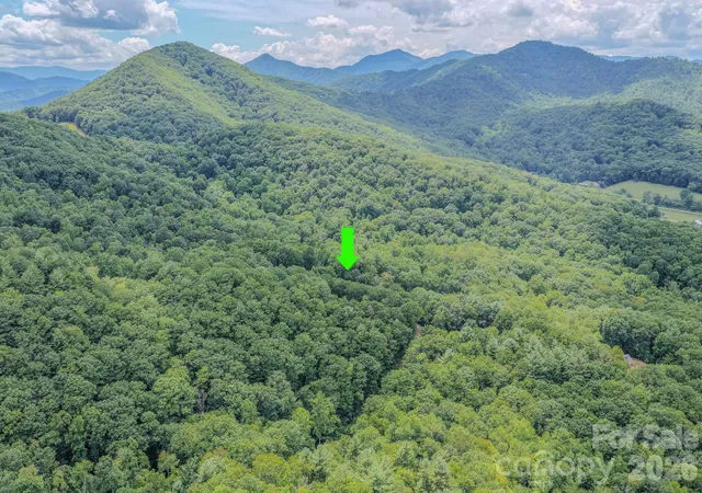 Photo 33 of Single family home for sale at 23 Tom Worley Rd, Leicester, NC 28748 | MLS# 4406985 | Listing updated on 2026-08-29