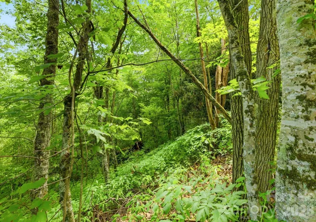 Photo 4 of Land for sale at 0 Bent Oak Dr #6, Waynesville, NC 28786 | MLS# 4407018 | Listing updated on 2026-09-25