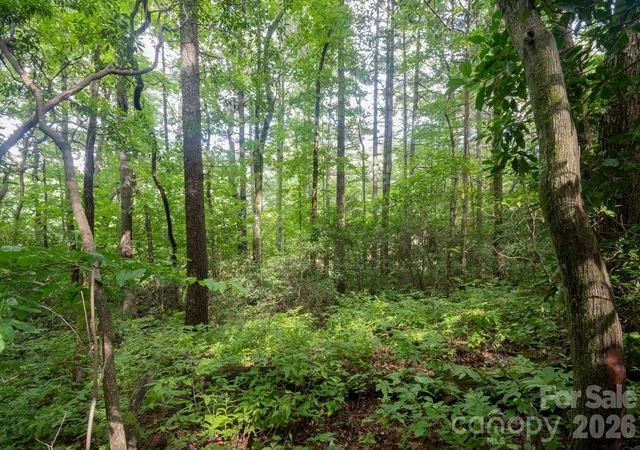 Photo 9 of Land for sale at K29 Chestnut Tr #K29, Lake Toxaway, NC 28747 | MLS# 4407107 | Listing updated on 2026-08-06