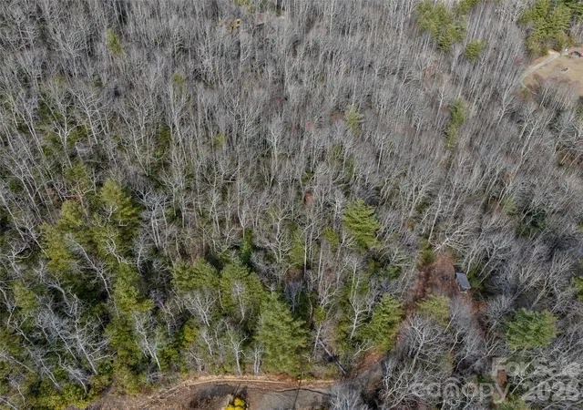 5th image of 0 Murphy Branch Rd, Burnsville, NC 28714 | MLS# 4407155