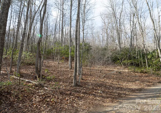 7th image of 0 Murphy Branch Rd, Burnsville, NC 28714 | MLS# 4407155