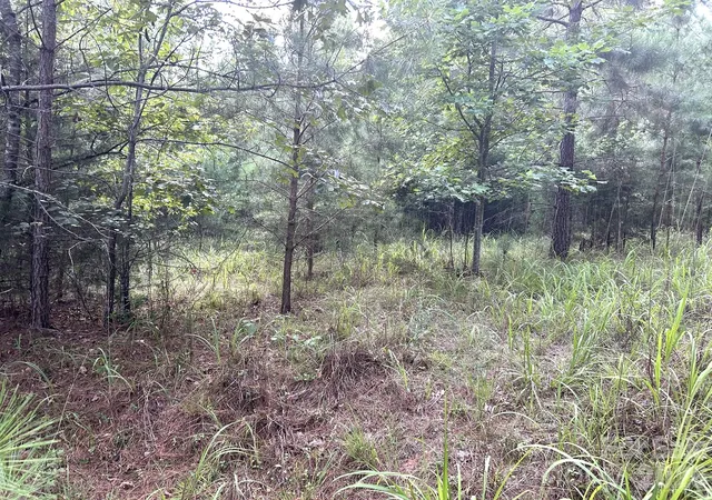 Photo 3 of Land for sale at 00 Cross Crk Dr #277, Rutherfordton, NC 28139 | MLS# 4407258 | Listing updated on 2026-07-23