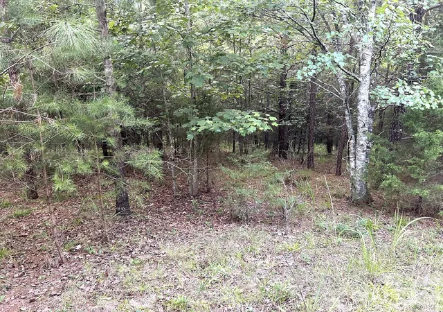 Photo 3 of Land for sale at 00 Cross Crk Dr #277, Rutherfordton, NC 28139 | MLS# 4407258 | Listing updated on 2026-07-23