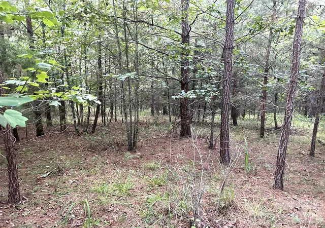 Photo 4 of Land for sale at 00 Cross Crk Dr #277, Rutherfordton, NC 28139 | MLS# 4407258 | Listing updated on 2026-07-23