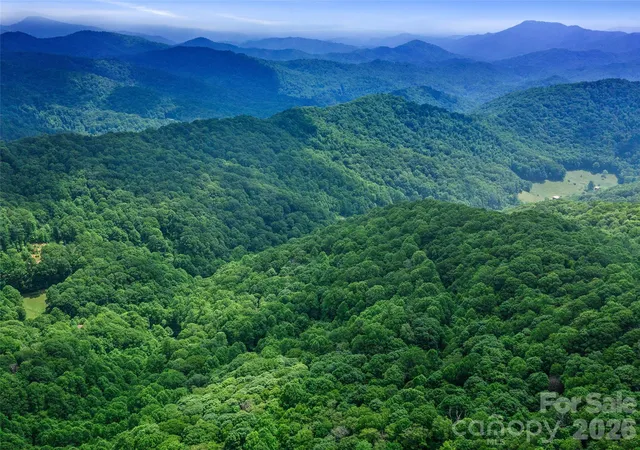 41st image of 0 Lotties Creek Rd, Burnsville, NC 28714 | MLS# 4407280