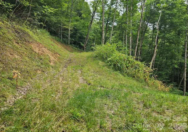 Photo 4 of Land for sale at 00 Wayward Cvs, Clyde, NC 28721 | MLS# 4407283 | Listing updated on 2026-08-04