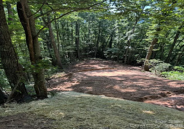 Photo 1 of Land for sale at 97 Hosta Dr, Sylva, NC 28779 | MLS# 4407334 | Listing updated on 2026-07-23