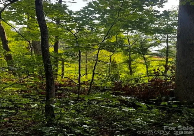 Photo 3 of Land for sale at 00000 Monticello Rd, Weaverville, NC 28787 | MLS# 4407373 | Listing updated on 2026-08-06