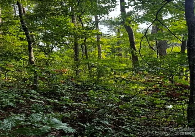 Photo 3 of Land for sale at 00000 Monticello Rd, Weaverville, NC 28787 | MLS# 4407373 | Listing updated on 2026-08-06