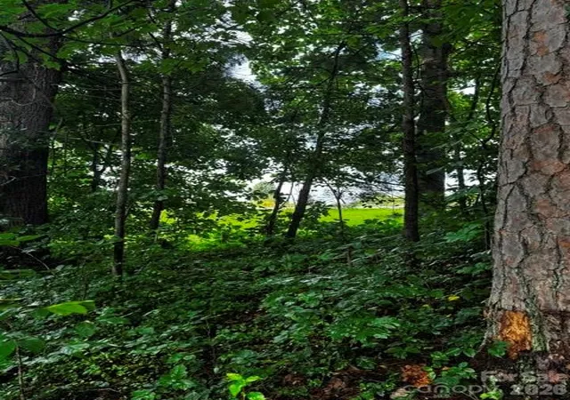 Photo 4 of Land for sale at 00000 Monticello Rd, Weaverville, NC 28787 | MLS# 4407373 | Listing updated on 2026-08-06