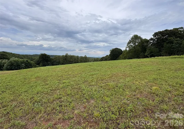 Photo 3 of Land for sale at 000 Pearson Rd, Moravian Falls, NC 28654 | MLS# 4407374 | Listing updated on 2026-07-23