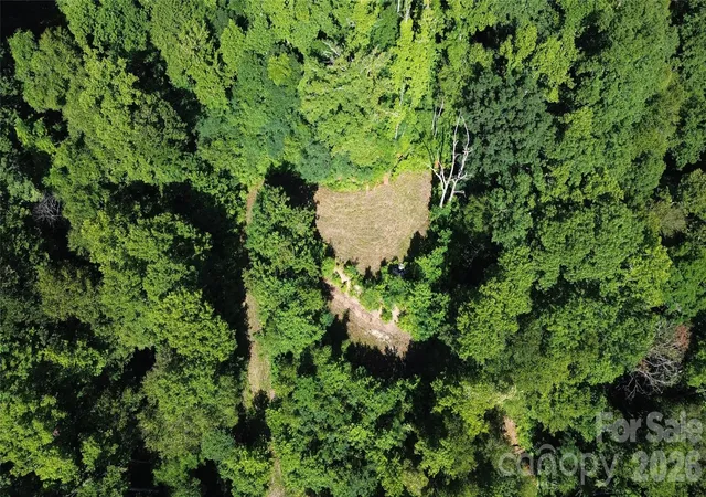 Photo 3 of Land for sale at 99999 Morgan Hl Rd, Black Mountain, NC 28711 | MLS# 4407476 | Listing updated on 2026-10-07