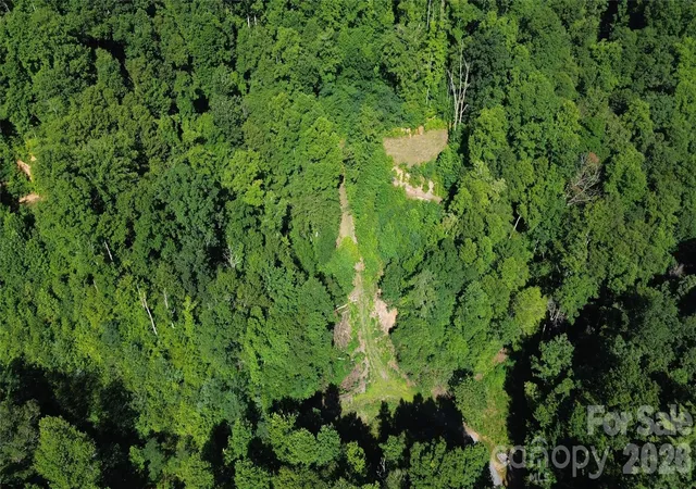Photo 3 of Land for sale at 99999 Morgan Hl Rd, Black Mountain, NC 28711 | MLS# 4407476 | Listing updated on 2026-10-07