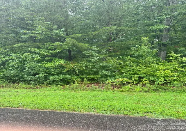 1st image of 0 Lhasa Apso Ln, Iron Station, NC 28080 | MLS# 4407494