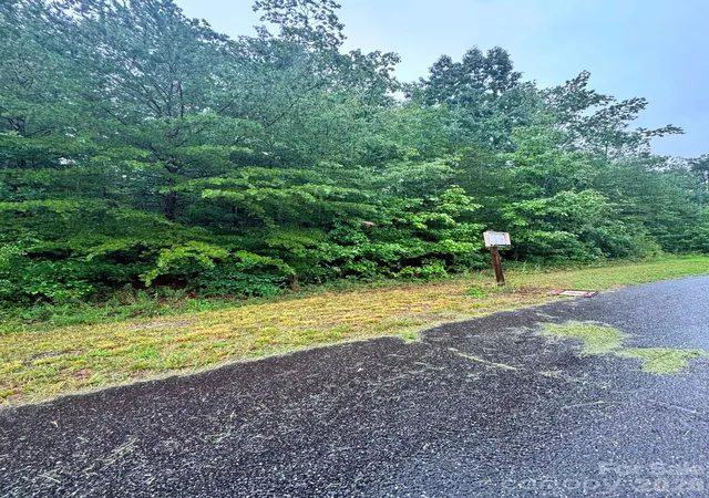 3rd image of 0 Lhasa Apso Ln, Iron Station, NC 28080 | MLS# 4407494