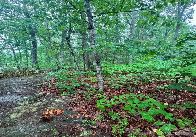 4th image of 0 Lhasa Apso Ln, Iron Station, NC 28080 | MLS# 4407494