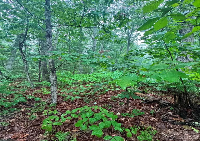 5th image of 0 Lhasa Apso Ln, Iron Station, NC 28080 | MLS# 4407494