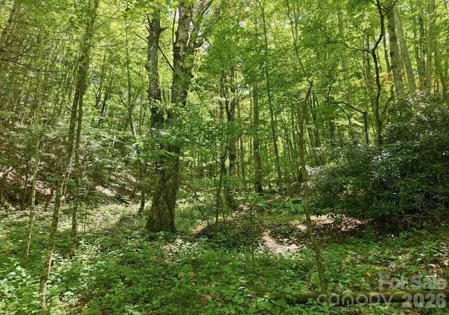 Photo 5 of Single family home for sale at 1158 Dark Ridge Rd, Sylva, NC 28779 | MLS# 4407503 | Listing updated on 2026-07-29