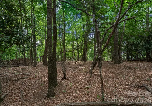 2nd image of Lot 4 Old Orchard Rd #4, Blowing Rock, NC 28605 | MLS# 4407507