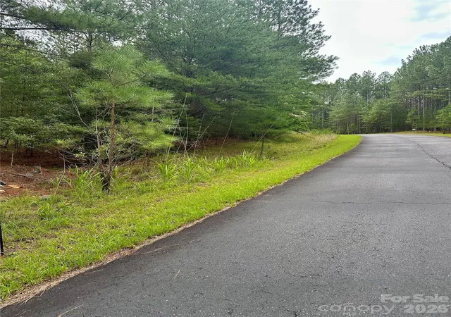 4th image of 116 Cranberry Ln, Mooresboro, NC 28114 | MLS# 4407518