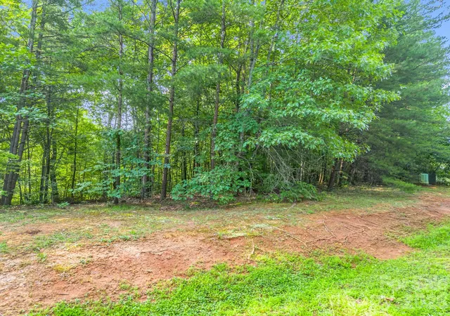 5th image of 00 Laurel Lakes Pkwy #44, Lake Lure, NC 28746 | MLS# 4407535