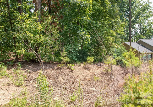 2nd image of 0 Sarah Dr #119, Denver, NC 28037 | MLS# 4407865