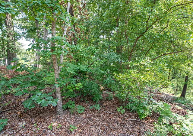 Photo 3 of Land for sale at 0 Sarah Dr #119, Denver, NC 28037 | MLS# 4407865 | Listing updated on 2026-08-31