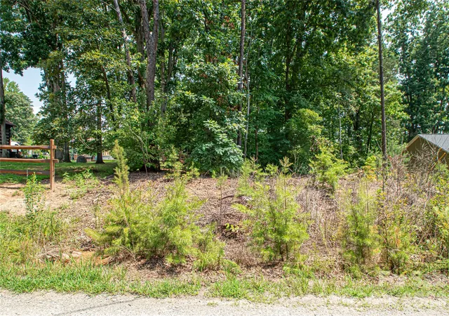 Photo 3 of Land for sale at 0 Sarah Dr #119, Denver, NC 28037 | MLS# 4407865 | Listing updated on 2026-08-31