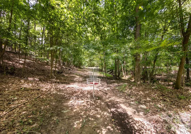 48th image of 201 Wainsley Pl, Matthews, NC 28105 | MLS# 4407896