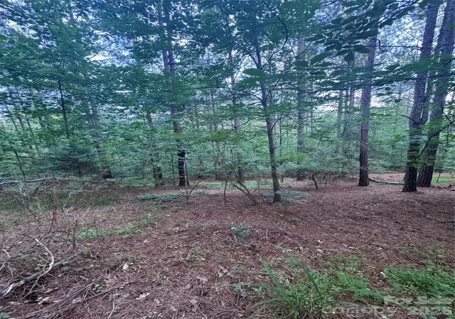 Photo 2 of Land for sale at 0 Clearwater Pkwy #203, Rutherfordton, NC 28139 | MLS# 4407912 | Listing updated on 2026-07-26