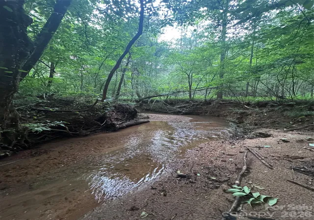 Photo 3 of Land for sale at 0 Clearwater Pkwy #203, Rutherfordton, NC 28139 | MLS# 4407912 | Listing updated on 2026-07-26