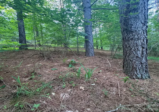 Photo 3 of Land for sale at 0 Clearwater Pkwy #203, Rutherfordton, NC 28139 | MLS# 4407912 | Listing updated on 2026-07-26