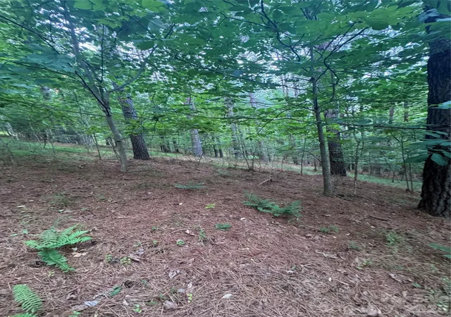 Photo 4 of Land for sale at 0 Clearwater Pkwy #203, Rutherfordton, NC 28139 | MLS# 4407912 | Listing updated on 2026-07-26