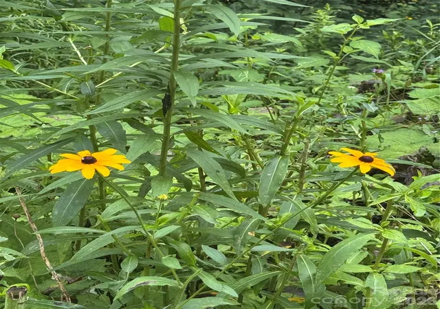 Photo 1 of Land for sale at Tbd Sugar Mountain 2 Rd #B, Newland, NC 28657 | MLS# 4407919 | Listing updated on 2026-09-03