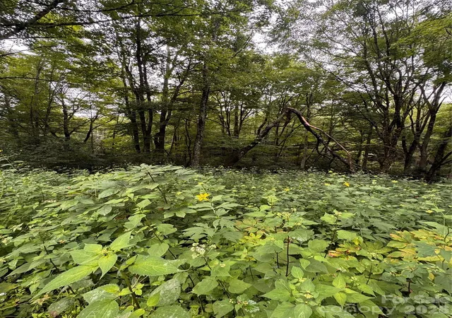 Photo 3 of Land for sale at Tbd Sugar Mountain 2 Rd #B, Newland, NC 28657 | MLS# 4407919 | Listing updated on 2026-09-03