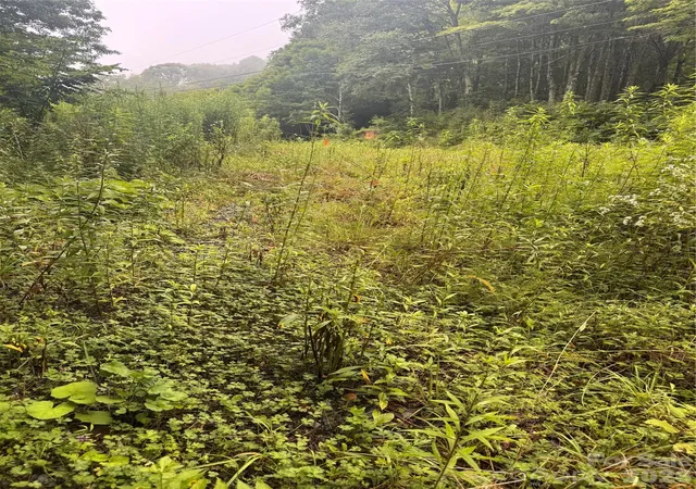 Photo 4 of Land for sale at Tbd Sugar Mountain 2 Rd #B, Newland, NC 28657 | MLS# 4407919 | Listing updated on 2026-09-03