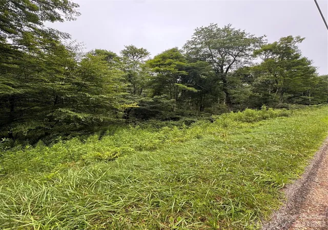 Photo 7 of Land for sale at Tbd Sugar Mountain 2 Rd #B, Newland, NC 28657 | MLS# 4407919 | Listing updated on 2026-09-03