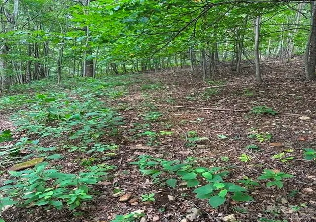 Photo 2 of Land for sale at 0 Cvs Gap Rd #1, Moravian Falls, NC 28654 | MLS# 4407970 | Listing updated on 2026-07-27