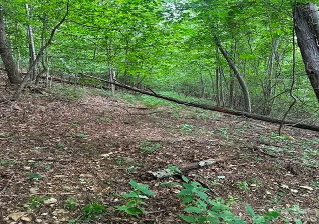 Photo 3 of Land for sale at 0 Cvs Gap Rd #1, Moravian Falls, NC 28654 | MLS# 4407970 | Listing updated on 2026-07-27