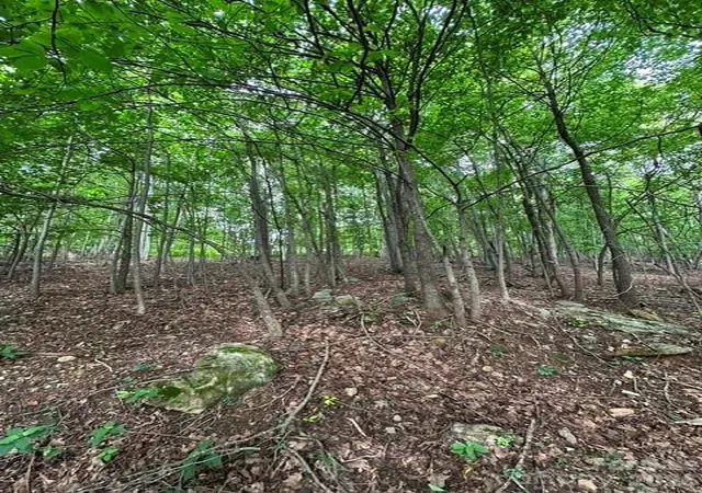 Photo 4 of Land for sale at 0 Cvs Gap Rd #1, Moravian Falls, NC 28654 | MLS# 4407970 | Listing updated on 2026-07-27